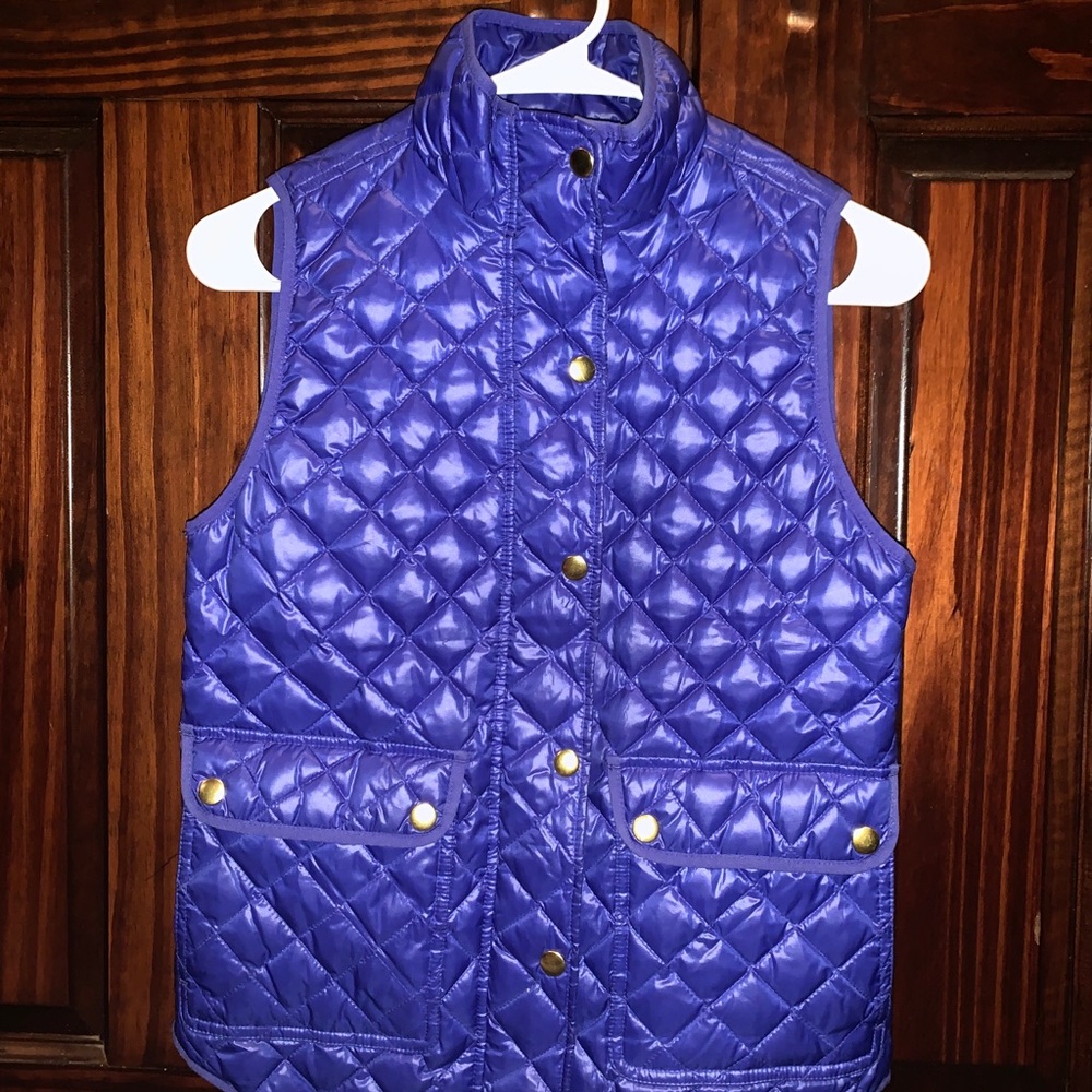 J.Crew Blue Vest